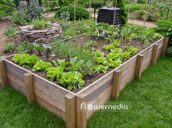 Raised bed with vegetables (102138)
